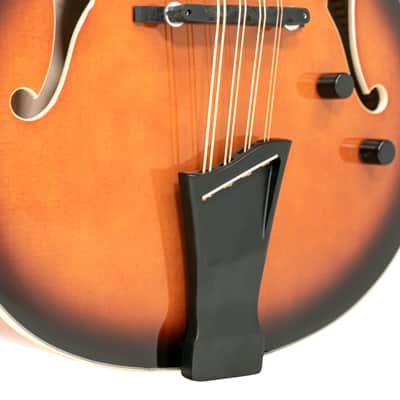 Gold Tone Acoustic Electric Mandocello, Mandolin Cello Hybrid Instrument w/Case image 2