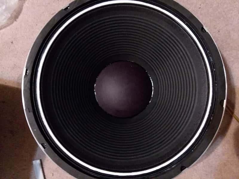 18" WOOFER AMPEG SWR EDEN BASS HORN SUBWOOFER REPLACEMENT SPEAKER EAW TURBO SOUND PINSTRIPE image 1