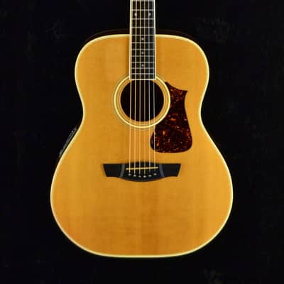 Fender  LS-20 (boutique) 1995 image 2