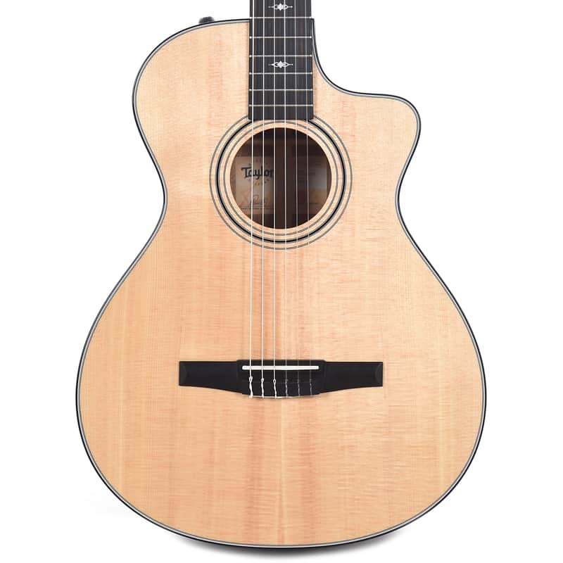 Taylor 312ce-N image 2