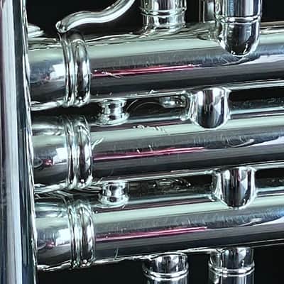 BERKELEY Raw Brass STD Eb/D Trumpet w/ Extra Silver D Bell 2019ish - SILVER PLATED image 21