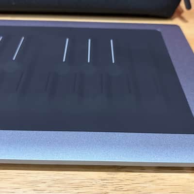 ROLI Seaboard RISE 2 (Platinum Blue) 49-Key + Equator2 + Soft Case image 15