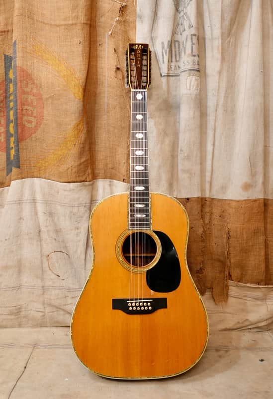Martin D12-45