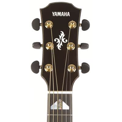 Yamaha APX1200II Acoustic-Electric Translucent Black image 4