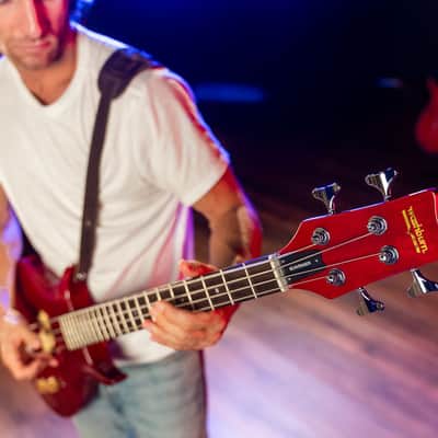 Washburn SB4R Wing Series Scavenger Ashwood Body 4-String Electric Bass Guitar image 16