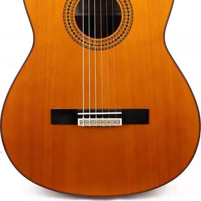 Yamaha GC22C Classical Guitar, Solid Cedar Top, Natural image 1