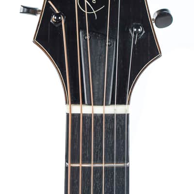 Eastman PG2 Pagelli Archtop Recent image 2