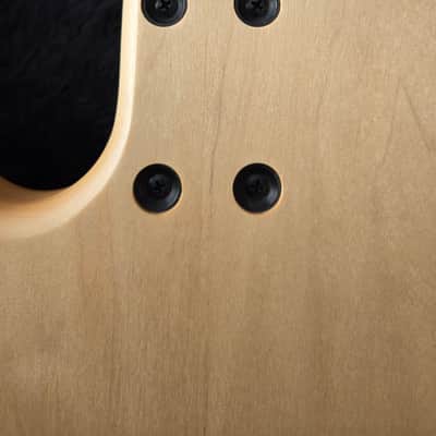 Stambaugh Resonance Fretless 4 string bass full scale w/hard case image 9