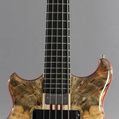 2016 Left-Handed Alembic Mark King 5 Deluxe Buckeye Burl ~Side LED's~ image 5