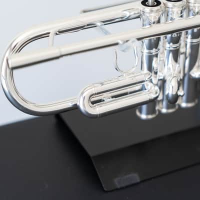 Yamaha YTR-8335GS Xeno Bb Trumpet with Gold Brass Bell (SN 4803xx) image 7