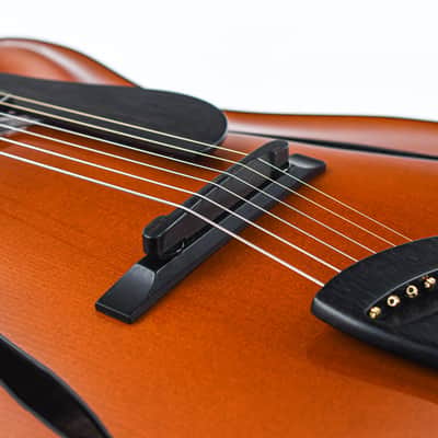 Tim Bram Tribute Archtop Caramel 2021 image 8
