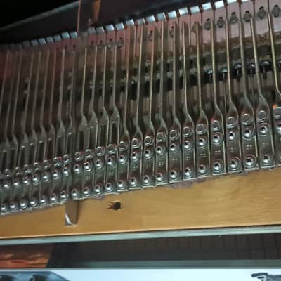 1973 Fender Rhodes Mark I Stage 73 - Key "Dyno" Electric Piano (has rare "Dyno-My-Piano" Pro Eq) - Collectors) image 15