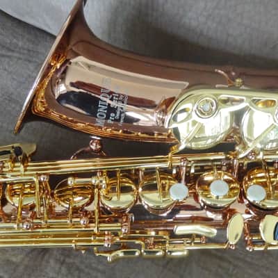 Monique Pro Series Alto Saxophone (SELMER/BUFFET CLONE) 1990s - Copper & Brass image 2