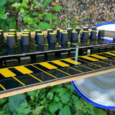 Jasper Synth - EDP Wasp Clone - MIDI IN - Finished DIY Kit image 7