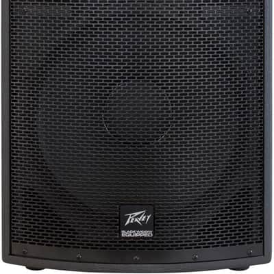 Peavey SP 2 1000-Watt 2-Way PA Speaker image 1