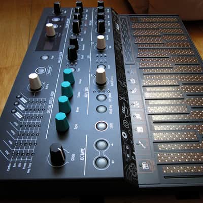 Arturia MicroFreak 25-Key 70years Thomann Edition image 5