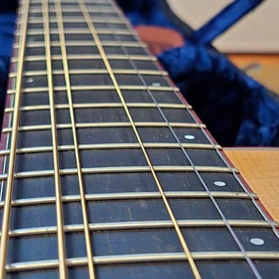 Breedlove C10/SE 2003 Striped Macassar Ebony image 5