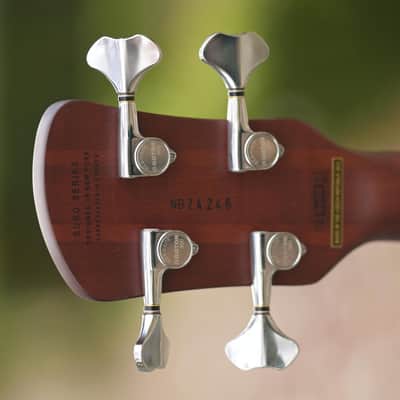 Spector Euro 4 RST - Sienna Stain Matte image 6