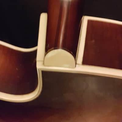 Hofner President 1958 Sunburst image 6