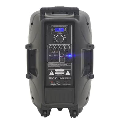Dolphin SP-2115R 15" Professional Party Speaker with XLR inputs and more image 3