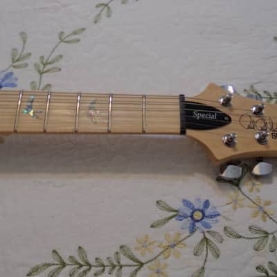 PRS SE SWAMP ASH special MINT  Charcoal image 2