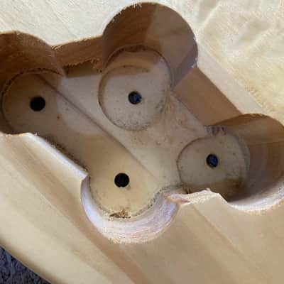 Harley Benton Single Cut Electric Guitar DIY Project with Rosewood Fingerboard image 4