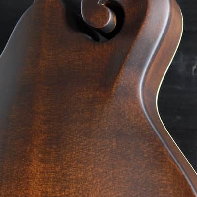 Eastman MD315 F-Style Mandolin Solid Wood / Hand Crafted image 19