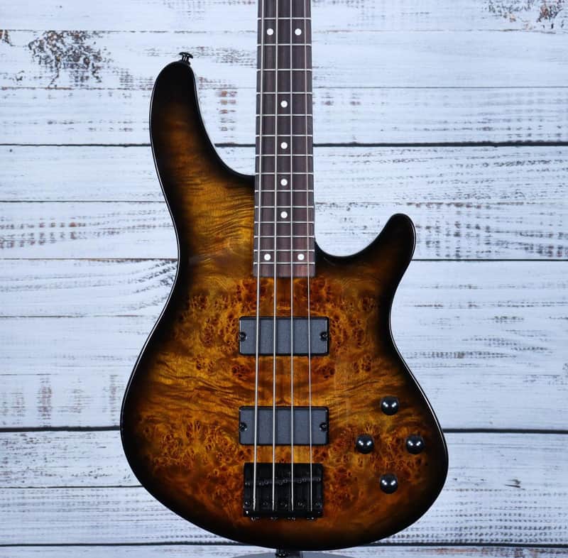 *DEMO* Schecter Standard Series C-4 Bass | Tobacco Burl