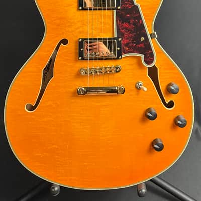 D'Angelico Excel DC Semi-Hollow Body Electric Guitar Amber Finish w/ OHSC image 1