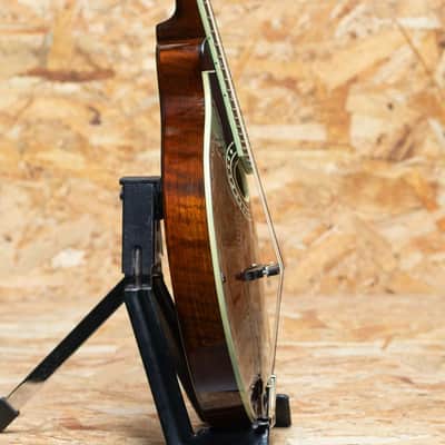Eastman MD504 2022 imagen 4