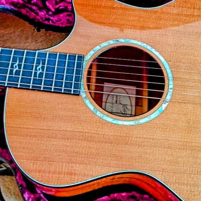 Taylor K14c 1998 with Neumman MCM 114 (New) image 7