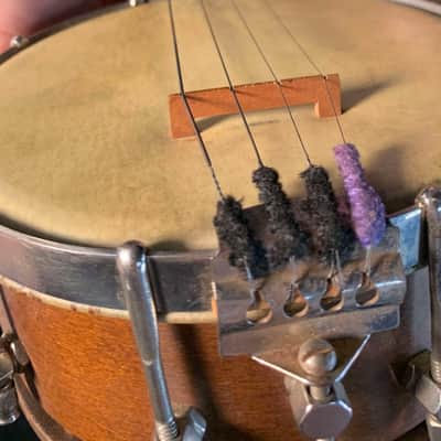 1920's The Gibson UB-1 Banjolele/Banjo-Ukelele (Rm2) image 8