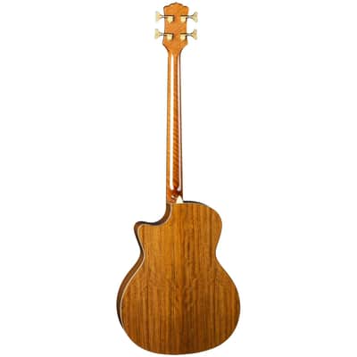 Luna Vista Bear Bass Acoustic Electric Bass Guitar w/ Hardshell Case image 2