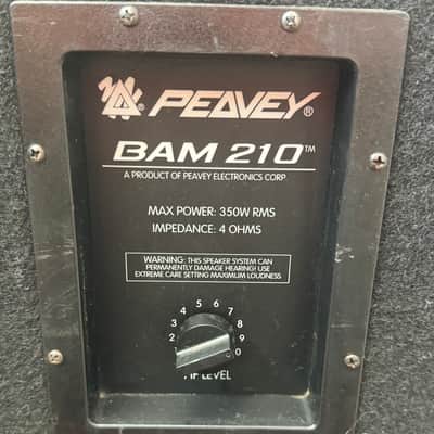 Peavey BAM-210. USA, Direct out, Can power another Speaker at 4Ohms. image 6