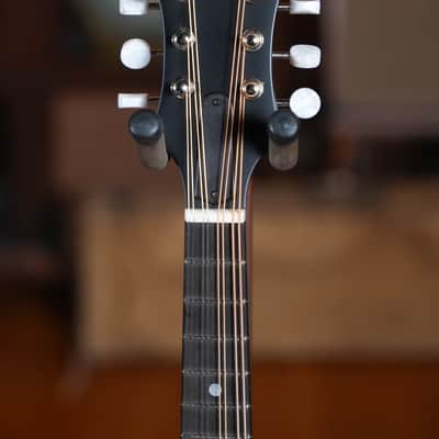 Eastman MD315L Left-Handed F-Style Hand-Carved Mandolin #2243 image 5