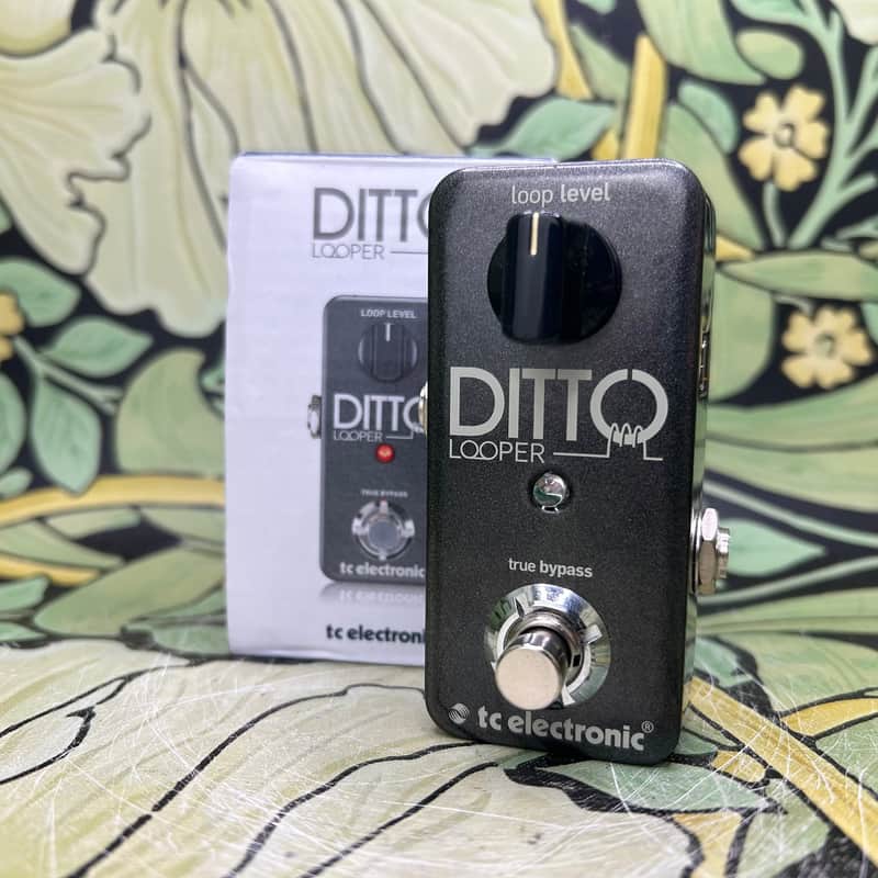 TC Electronic Ditto - Used image 1