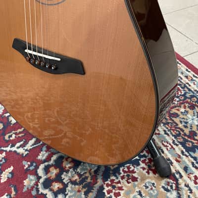 Furch Yellow Gc-cr Ant image 6