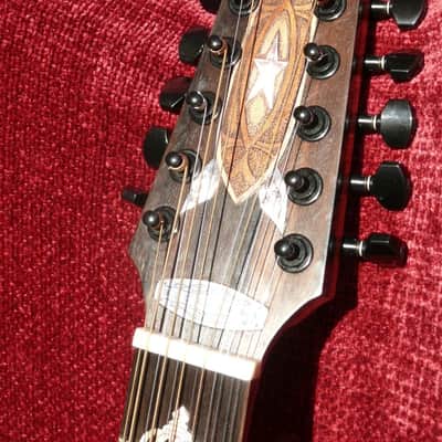 BLUEBERRY 12 String Cutaway   SATAN 2013 Natural image 3