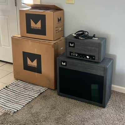 Morgan Amplification RCA 35 Twilight with matching cabinet image 4