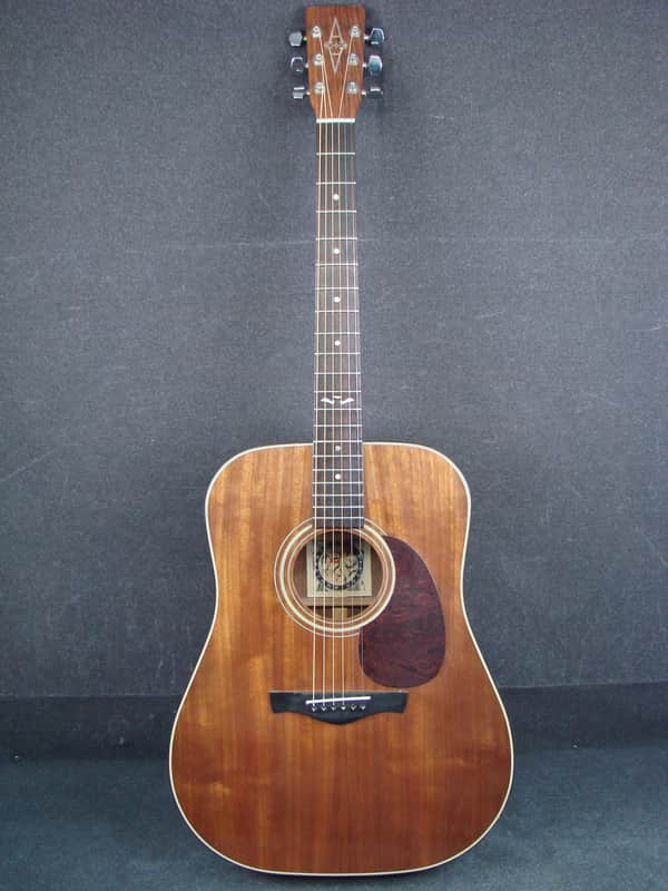 Alvarez 5020M Silver Anniversary Dreadnought Acoustic Guitar image 1