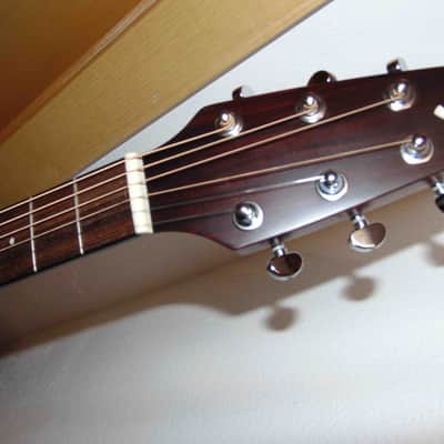 Breedlove Passport C25 CE , FS | Reverb