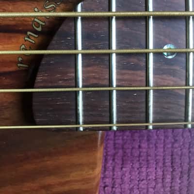 Rick Turner RB5 Fretted 2015 Gloss Renaissance Bass image 7