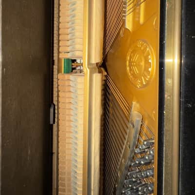 Yamaha U1 Acoustic Piano 2014 - Present - Polished Ebony Bild 4