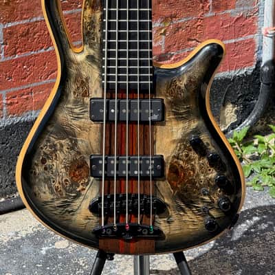 Mayones Caledonius 5 string Bass 2024 - stunning boutique bass & 1 of the coolest designs ever ! image 1