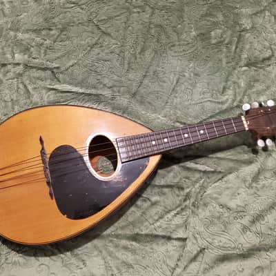 1920's Weymann Mandolute image 2