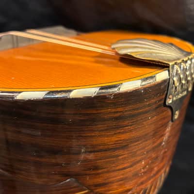 American Conservatory Lyon & Healy Bowl Back Mandolin - Early 1900s - Brazilian Rosewood - Great Player - Ship FREE!!! image 16