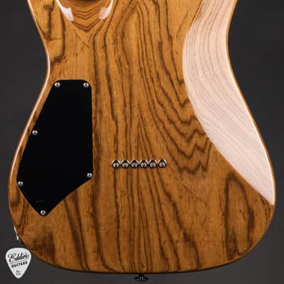 Suhr Standard Roasted - Bahama Blue Burst image 4