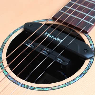 Flanger Flatsons FR2 - Acoustic pickup image 9