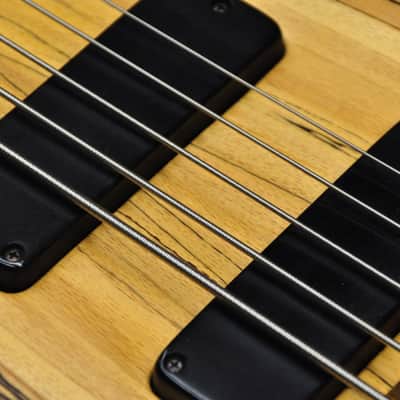 Chris Larkin Reacter 5B Fretless Spalted Maple image 7