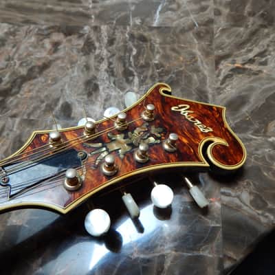 Ibanez Mandolin F-Style Lawsuit 1975 Sunburst image 9
